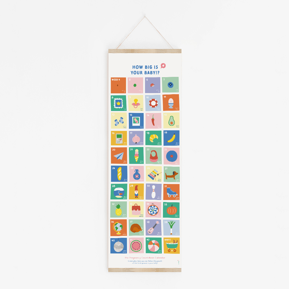 Van Kira - Wholesale Calendar - Countdown pregnancy calendar1