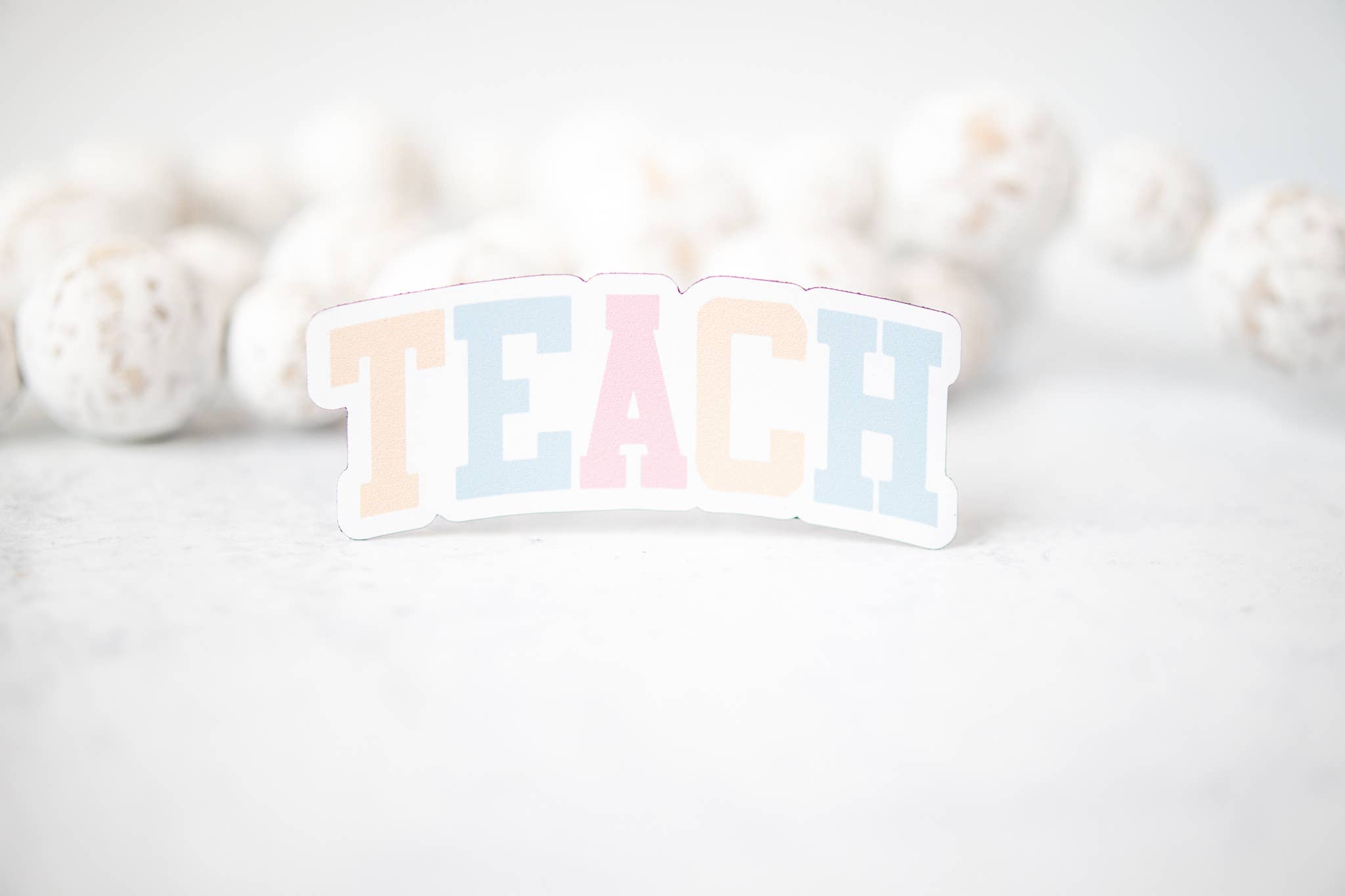 Savannah and James Co - Vendita all'ingrosso Calamite - Insegnare, magnete 3 «x3"2