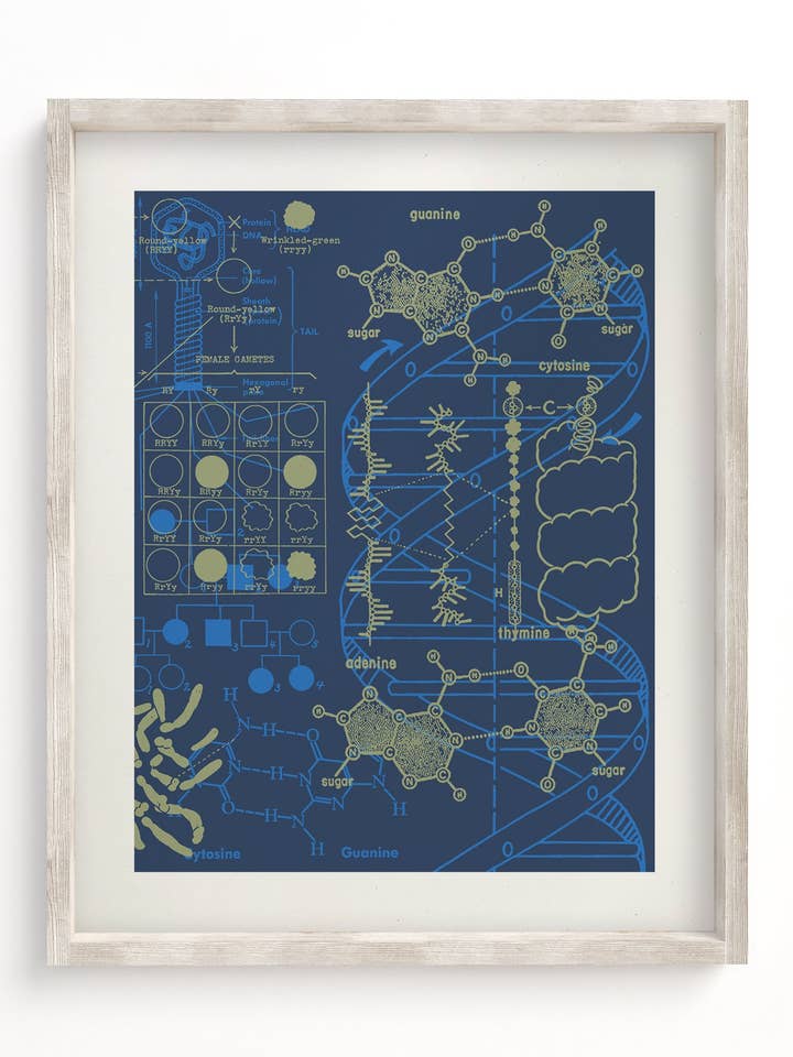 Genética: DNA Museum Print para venta al por mayor de Cognitive Surplus