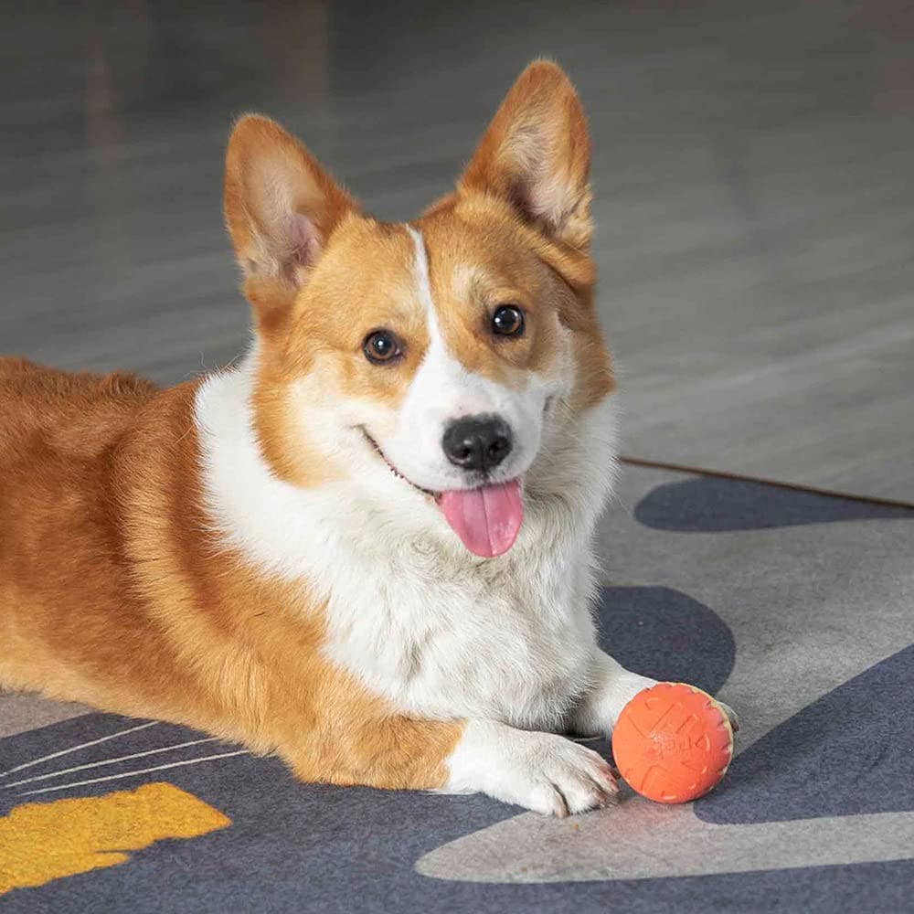 Supreme Housewares - Wholesale Pet Fetch Ball - Dog - Pawjectile Dog Ball Toys Bi-Color Yellow/Pink6