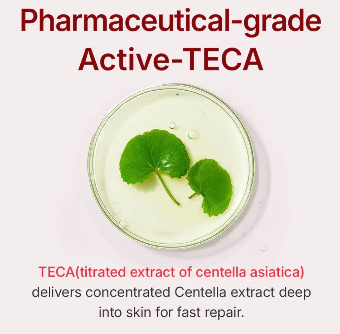 Beauty of Joseon, ANUA, COSRX, SKIN1004, Lilyfield - Wholesale Anti-Aging Moisturizer - Centellian24 Madeca Cream Time Reverse (50ml)3