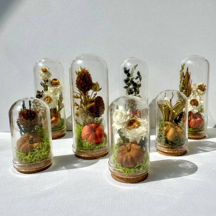 Pumpkin Mix Mini Terrarium Potion Jar w Dried Florals for wholesale by CA Studios
