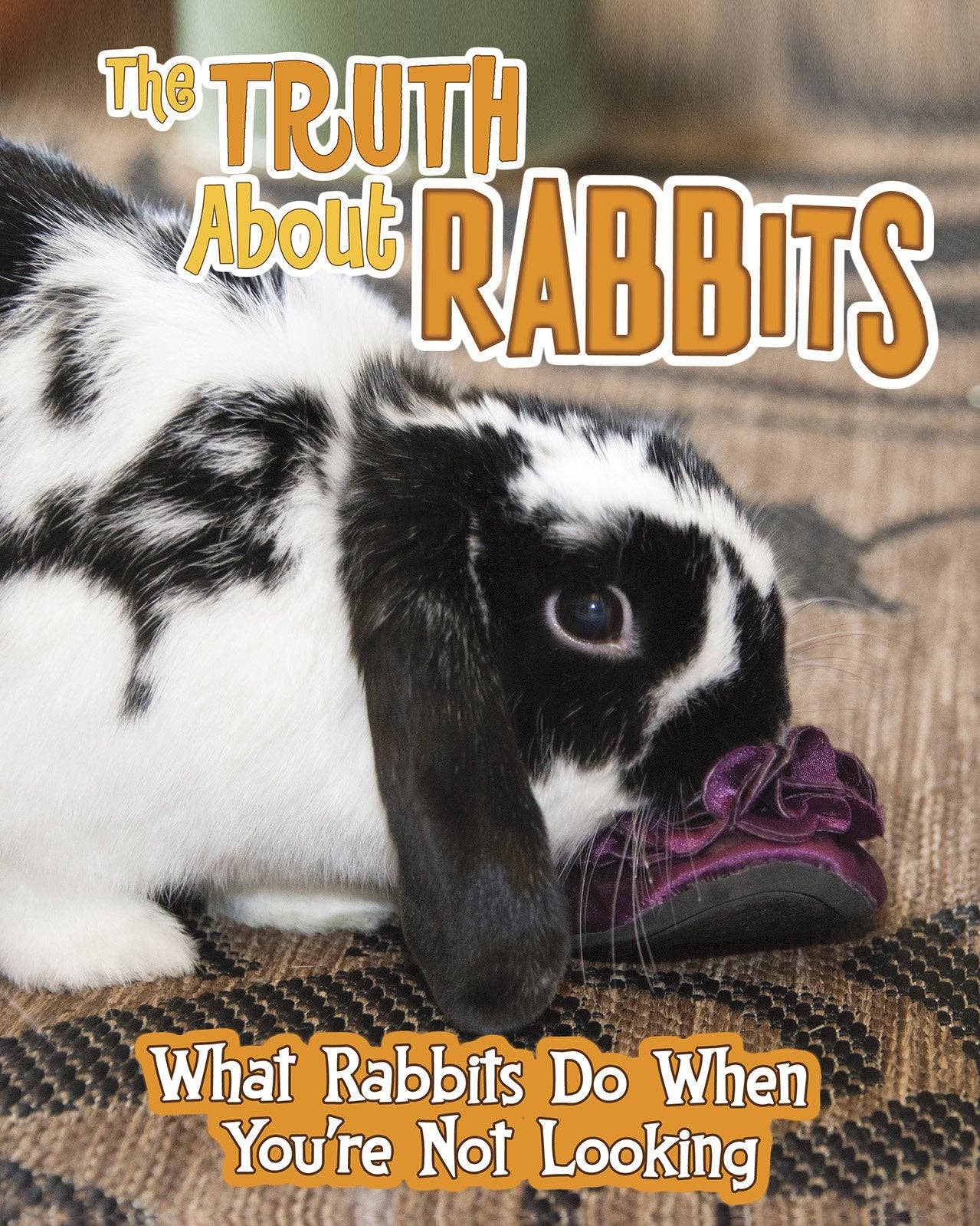 Boon Books - Wholesale Pet Book - Pets Undercover! : The Truth About Rabbits by Mary Colson