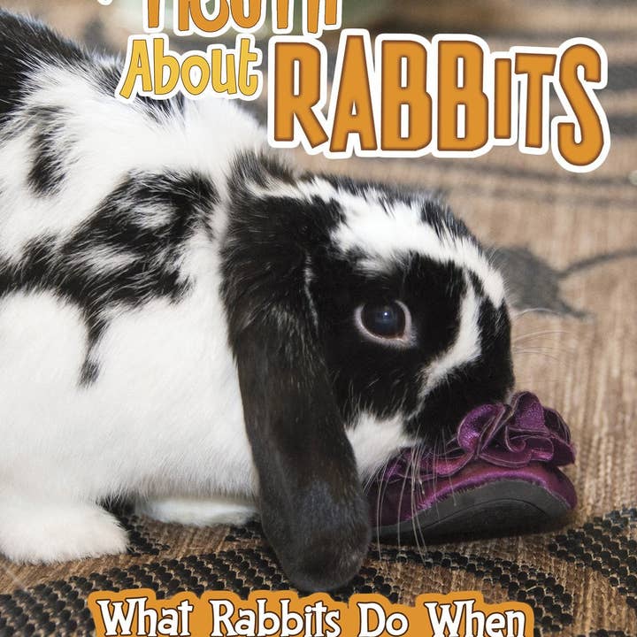 Boon Books - Wholesale Pet Book - Pets Undercover! : The Truth About Rabbits by Mary Colson0