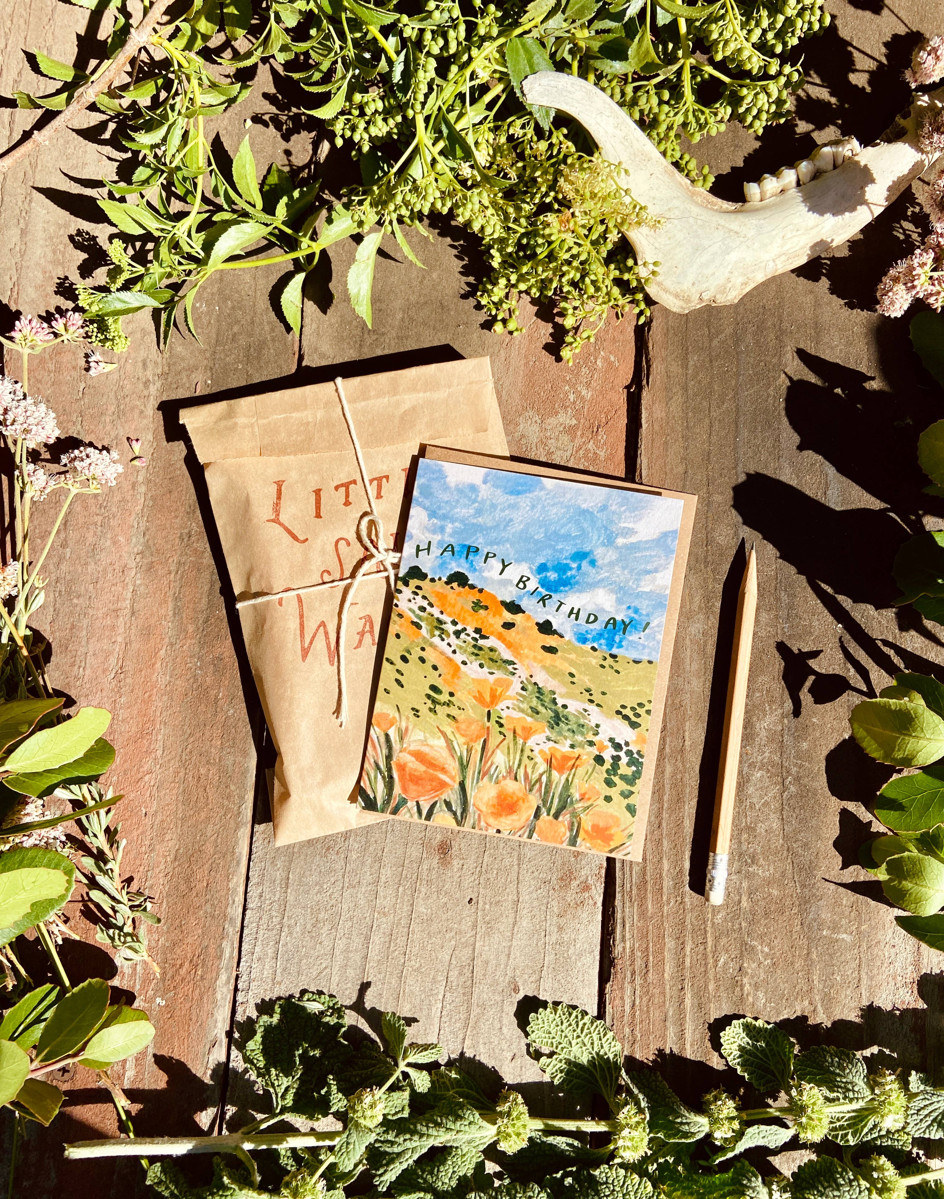 Little Salt Wagon – Großhandel Geburtstagskarten – California Golden Poppy Wildflower Happy Birthday Karte5