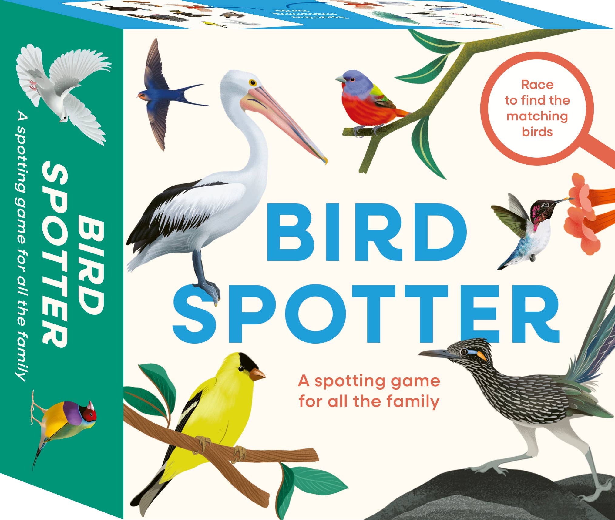 QUARTO - Wholesale Preschool Book (3-5) - Bird Spotter0