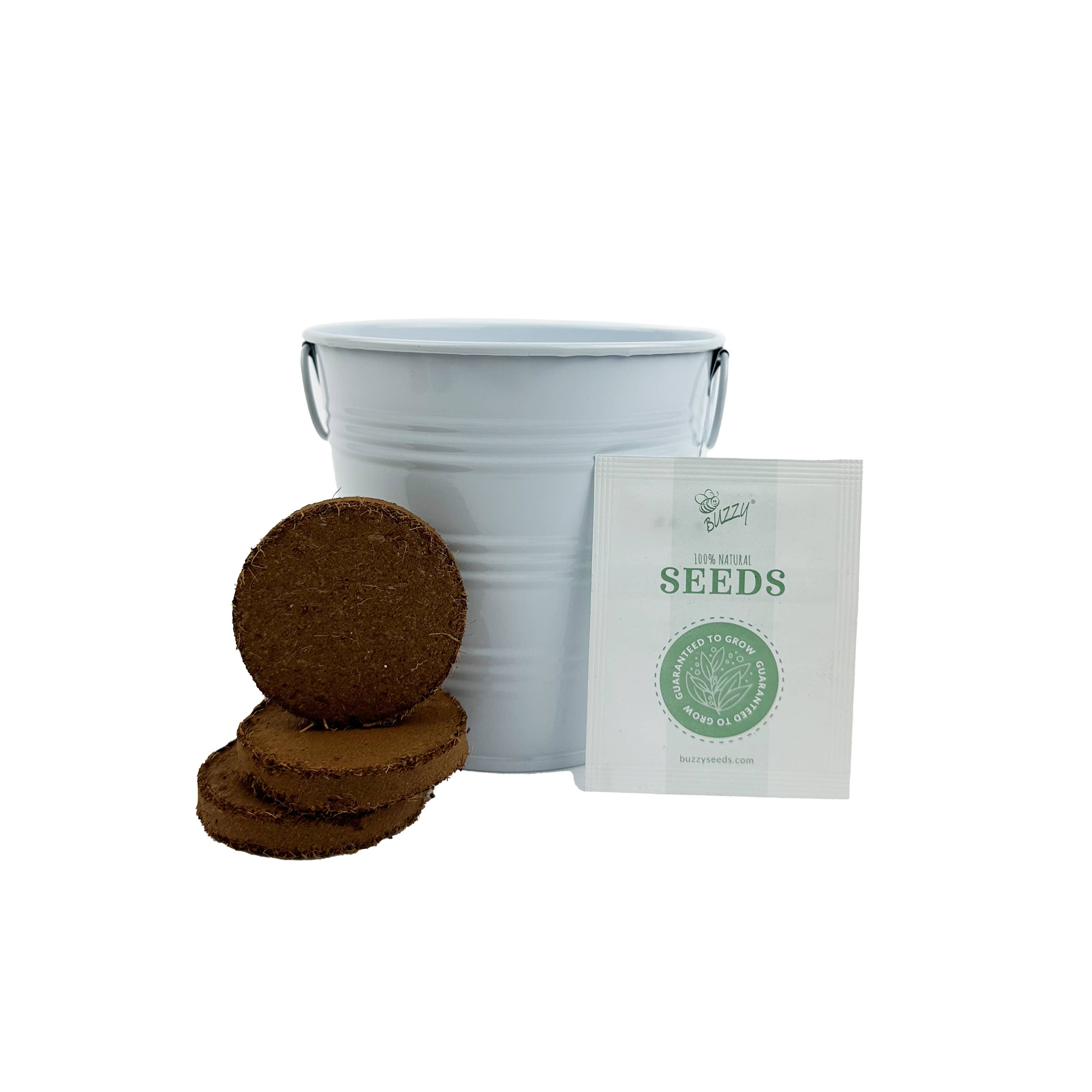 Buzzy Seeds Grow Gifts - Wholesale Plant Seeds - Kids Flower Grow Pail Daisy Garden Kit – Indoor Gift2