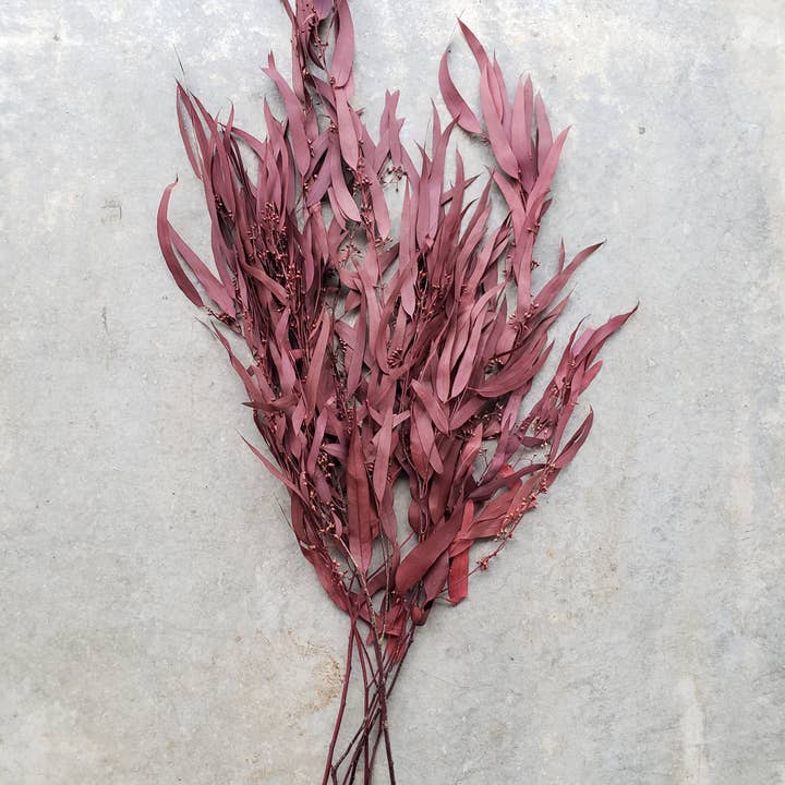Preserved Weeping Willow Seed Eucalyptus - Burgundy Red for wholesale by BLOOMINGFUL.COM