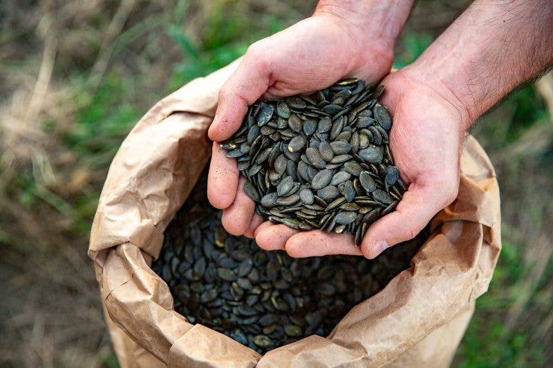 SuperSeedz - Wholesale Nuts - 5oz Sea Salt European Pumpkin Seeds NO SHELLS3