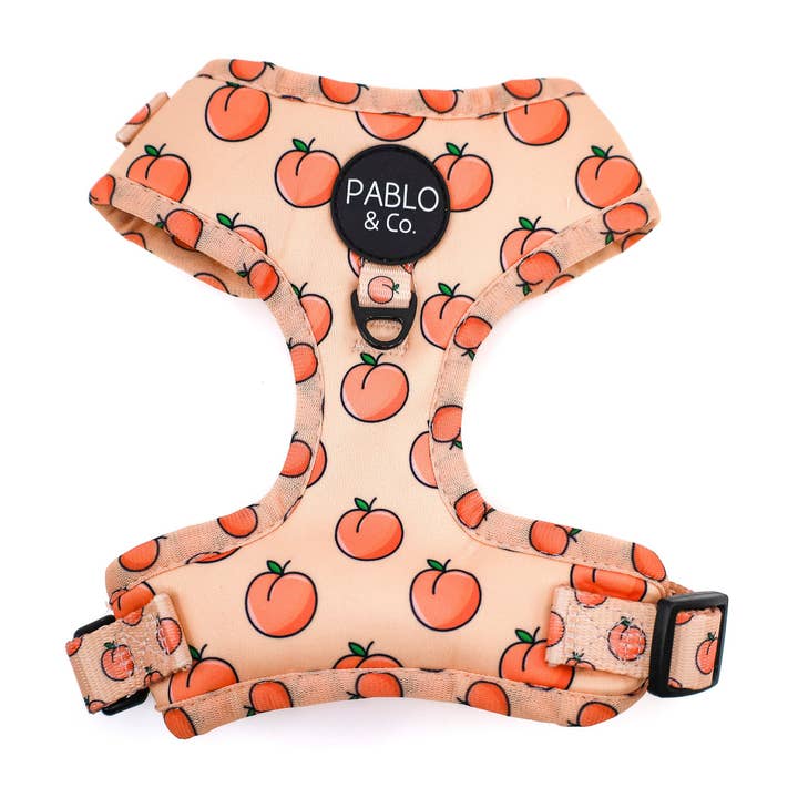 Pablo & Co. Boutique - Wholesale Pet Harness - Dog - Peaches & Cream: ADJUSTABLE DOG HARNESS