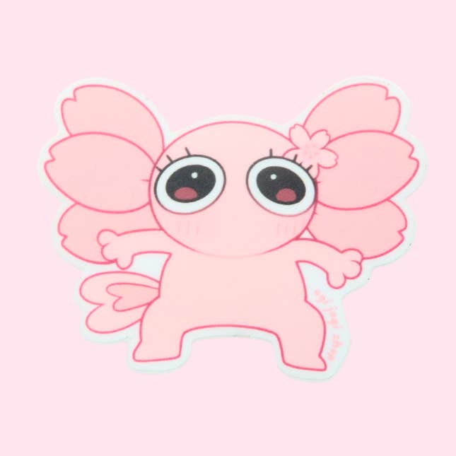 Autocolante "Shook Agi 2" por atacado de Agi Jagi Shop