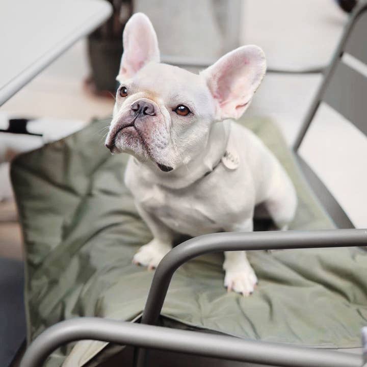 Lambwolf EU - Wholesale Pet Mat - Dog - ORII - TRAVEL MAT 4