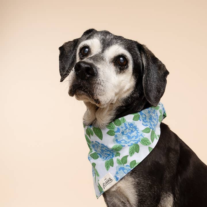 The Paws - Wholesale Pet Bandana - Dog - Sconset Dog Bandana1