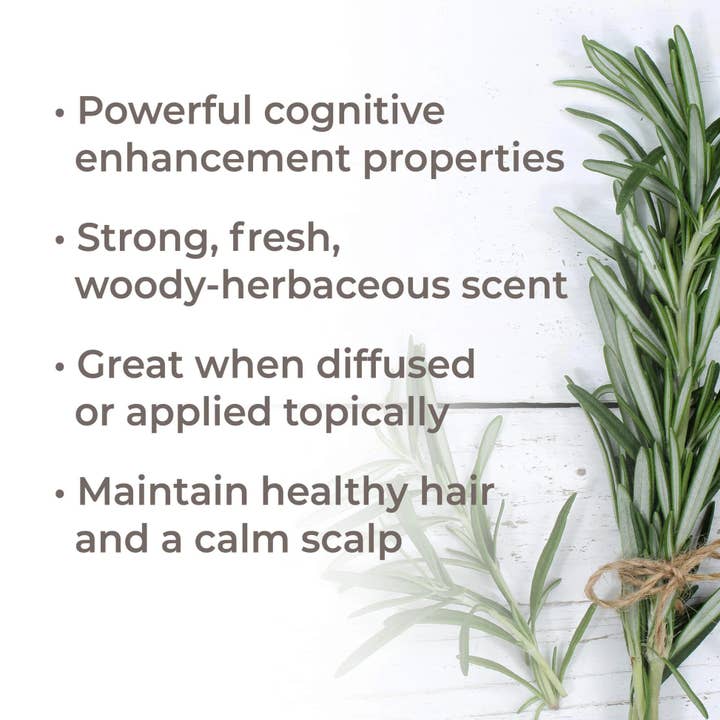 Plant Therapy - Vente Huile essentielle - Huile essentielle de romarin 1,8-cinéole 30 ml