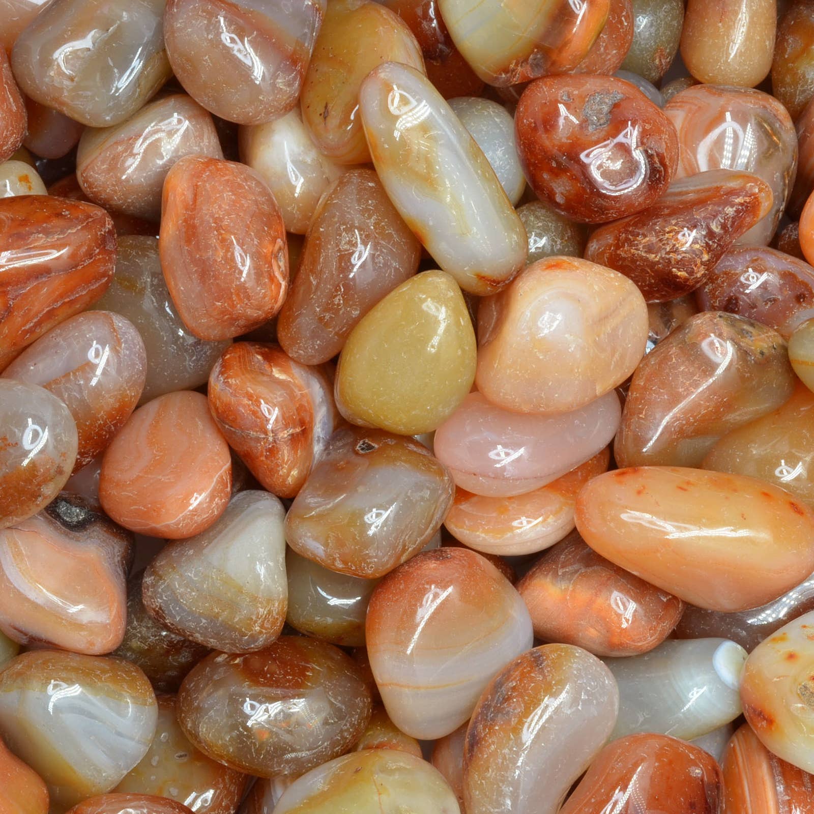 Fantasia Mining - Wholesale Spiritual Stone/Crystal - Tumbled Carnelian - L - A Grade - Brazil (1 lb)3