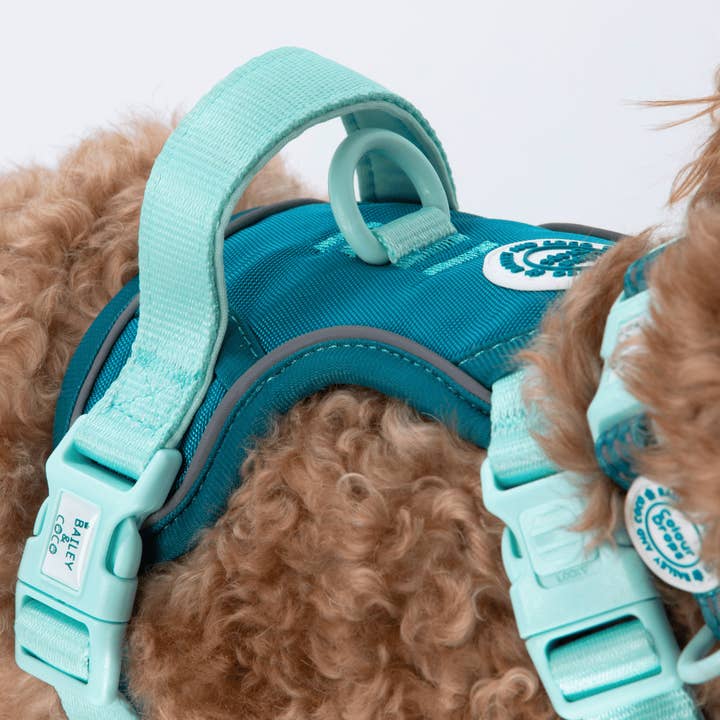 Bailey and Coco - Vente Harnais – chien - Harnais pour chien Trail & Glow - COLOUR DROPS® - Ice Teal10
