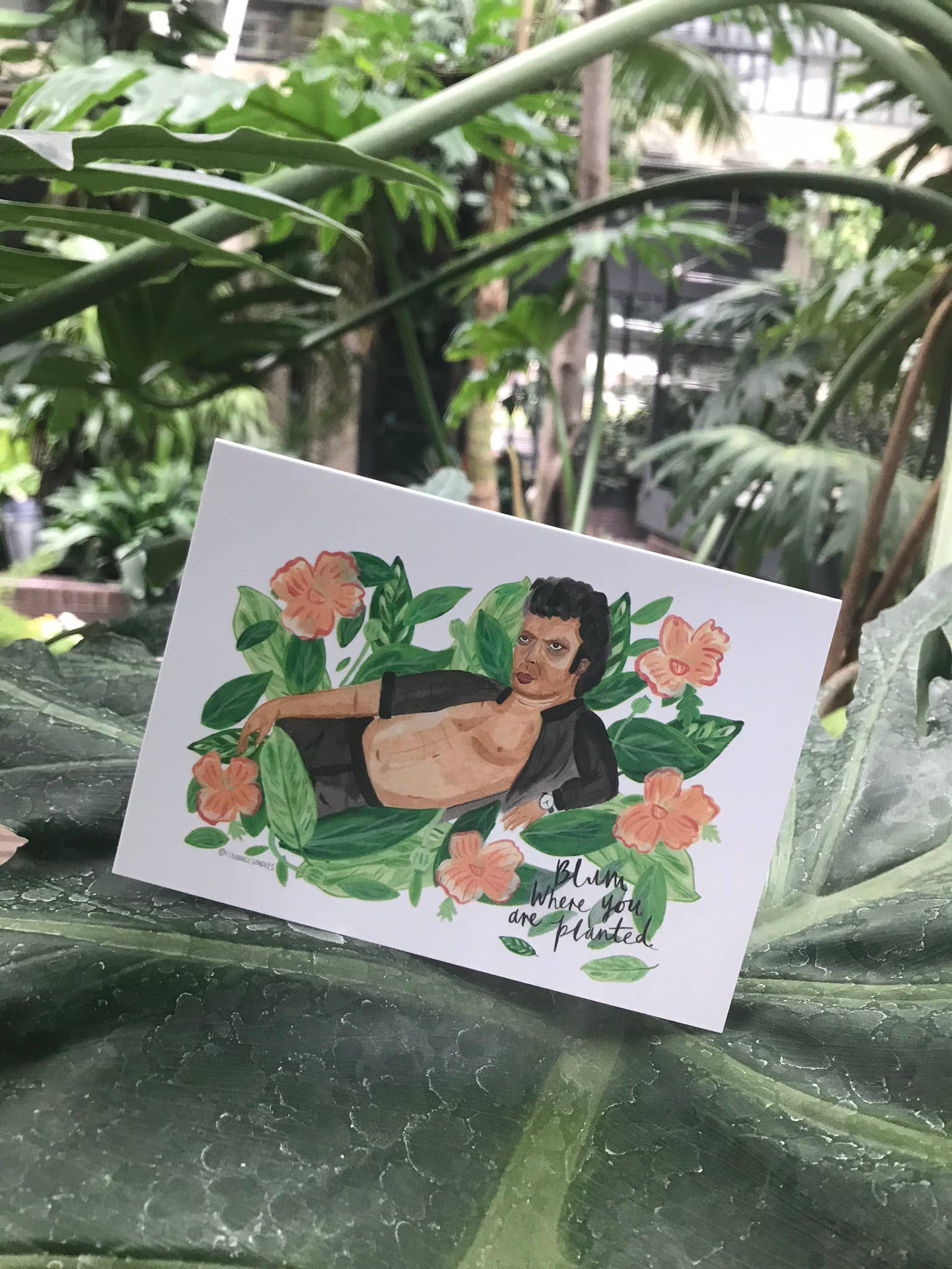 Fernandes Makes – wholesale Everyday greeting card – Blum Where You Are Planted, Goldblum A6 Greeting Card1