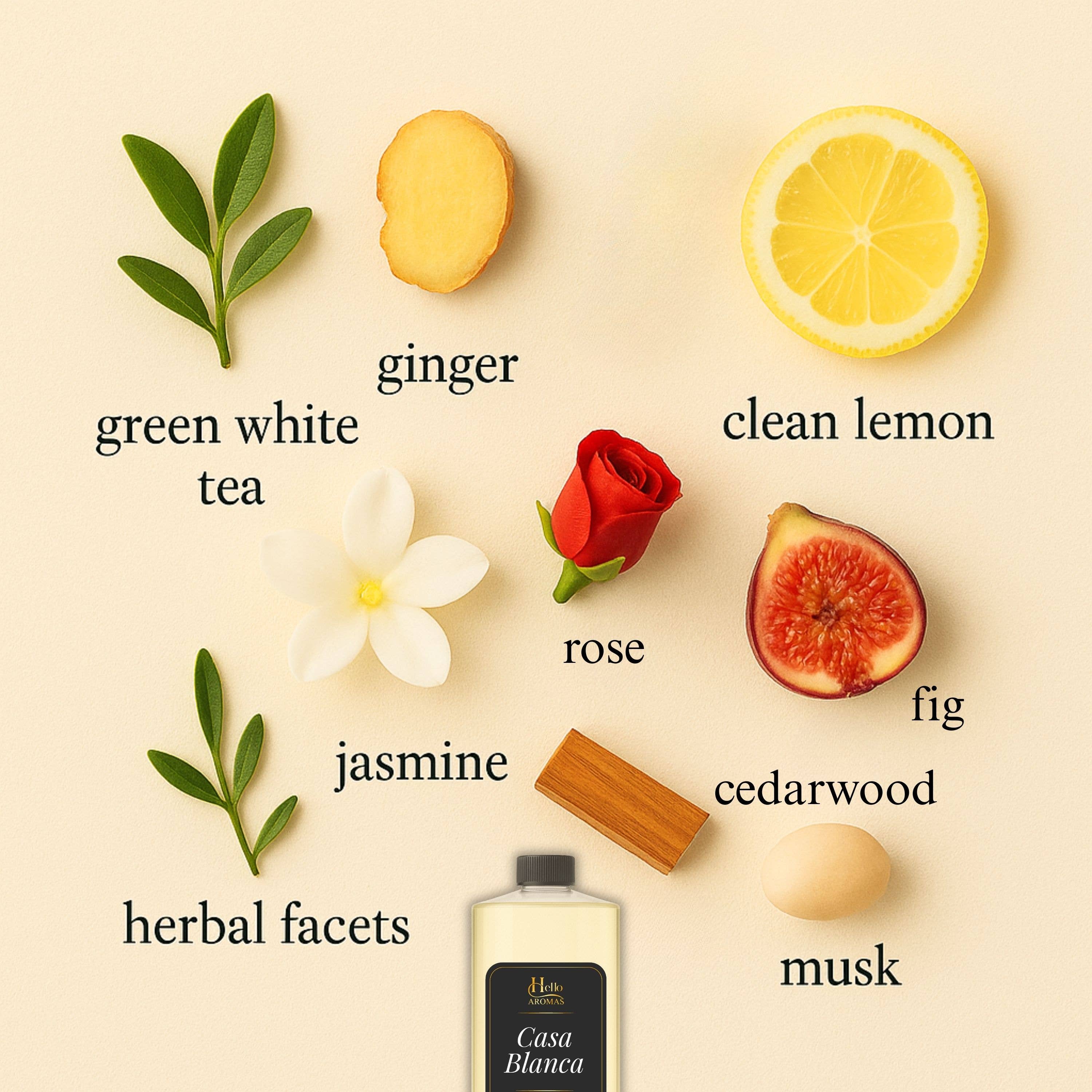 Hello Aromas - Wholesale Fragrance Oil - Casa Blanca Inspired by Delano Hotels 100ML Bottle1