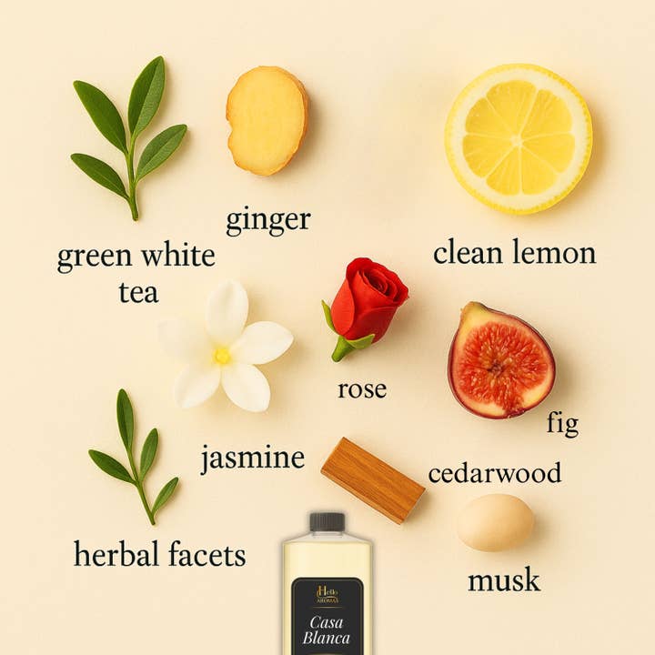 Hello Aromas - Wholesale Fragrance Oil - Casa Blanca Inspired by Delano Hotels 100ML Bottle1