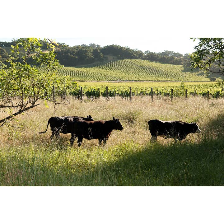 Journeyman Meat Co. - Wholesale Jerky - Snack Sticks - Pepperoni Flavor Estate Beef2