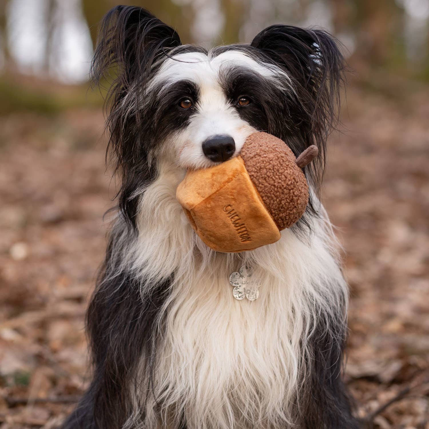 CHEWFFON - Wholesale Pet Squeaky Toy - Dog - CHEWFFON Acorn Snuffle & Squeaky Dog Toy4