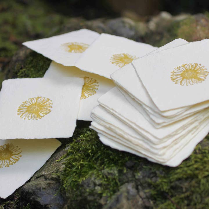 Oblation Papers & Press - Wholesale Stationery/notecard set - Daisy Handmade Paper Letterpress Petite Charm1