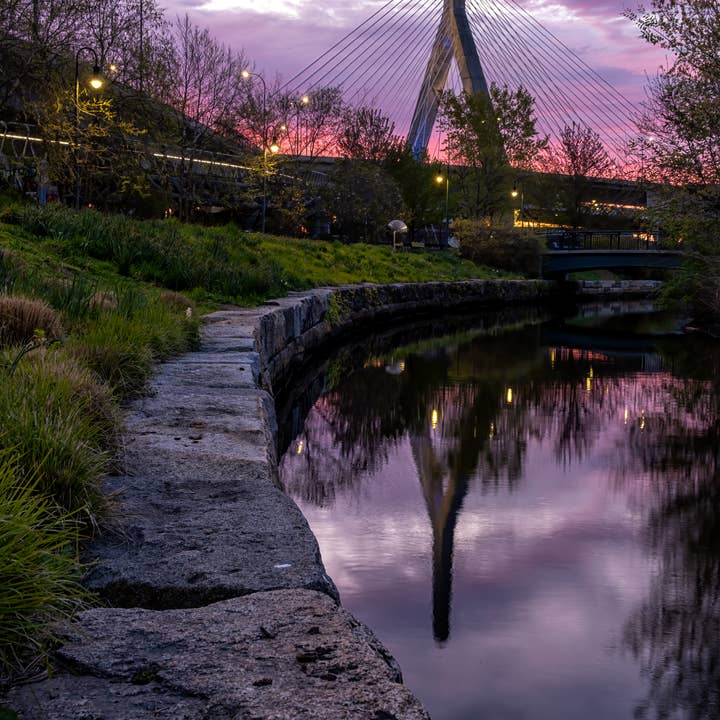 Purple Zakim for wholesale by Erica Joy Photography