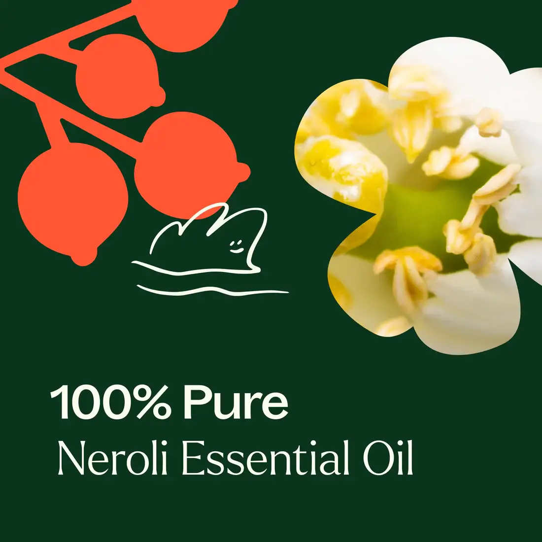 Plant Therapy - Wholesale Essential Oil - Neroli Essential Oil 5 mL2