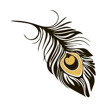 2 PACK Feather Black for wholesale by Goldy.LA