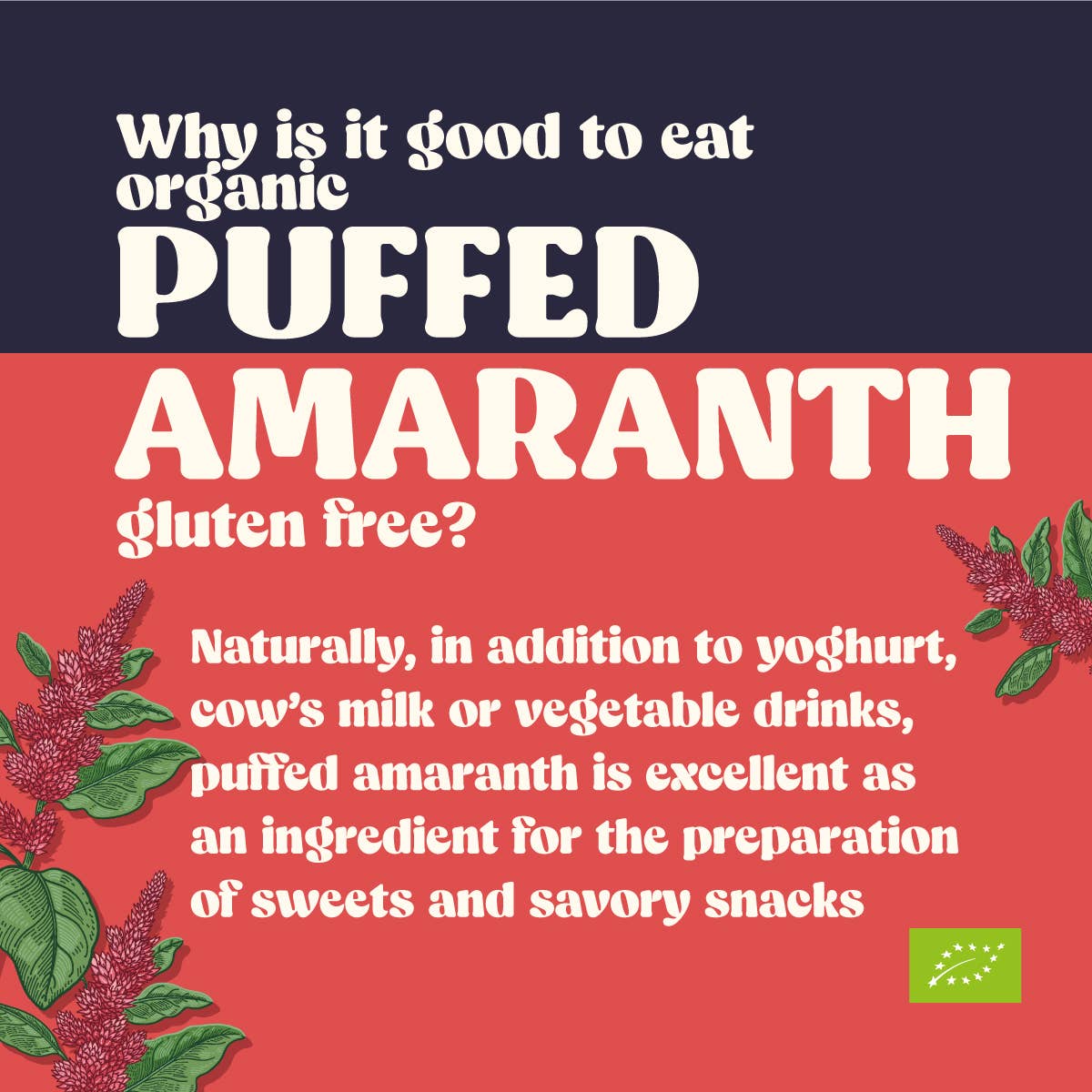 Stella Foods s.r.l. – Snacks tufados por atacado – Amaranto Orgânico Estufado sem Glúten STELLA 100 g2