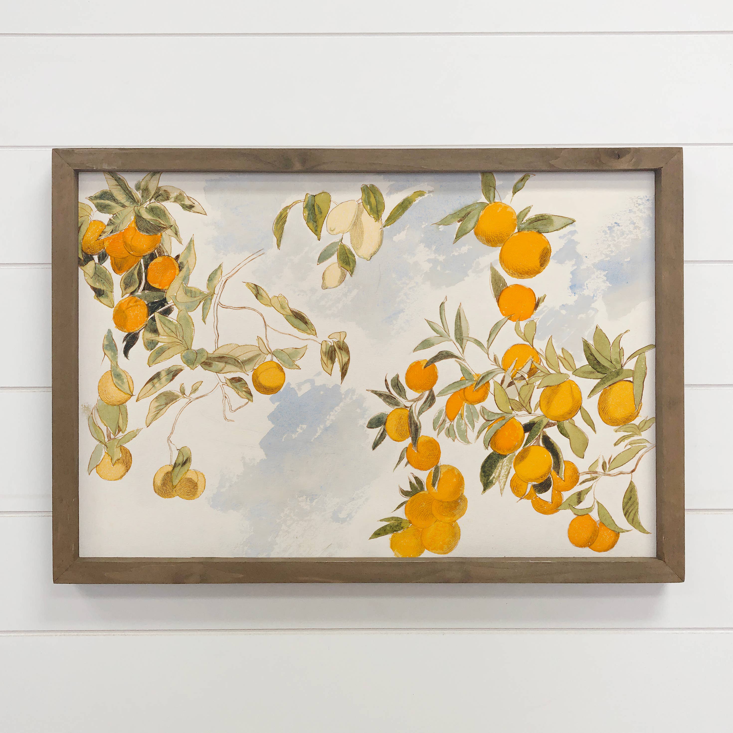 Hangout Home - Wholesale Art Print - Vintage Clementines - Framed Canvas Wall Art0