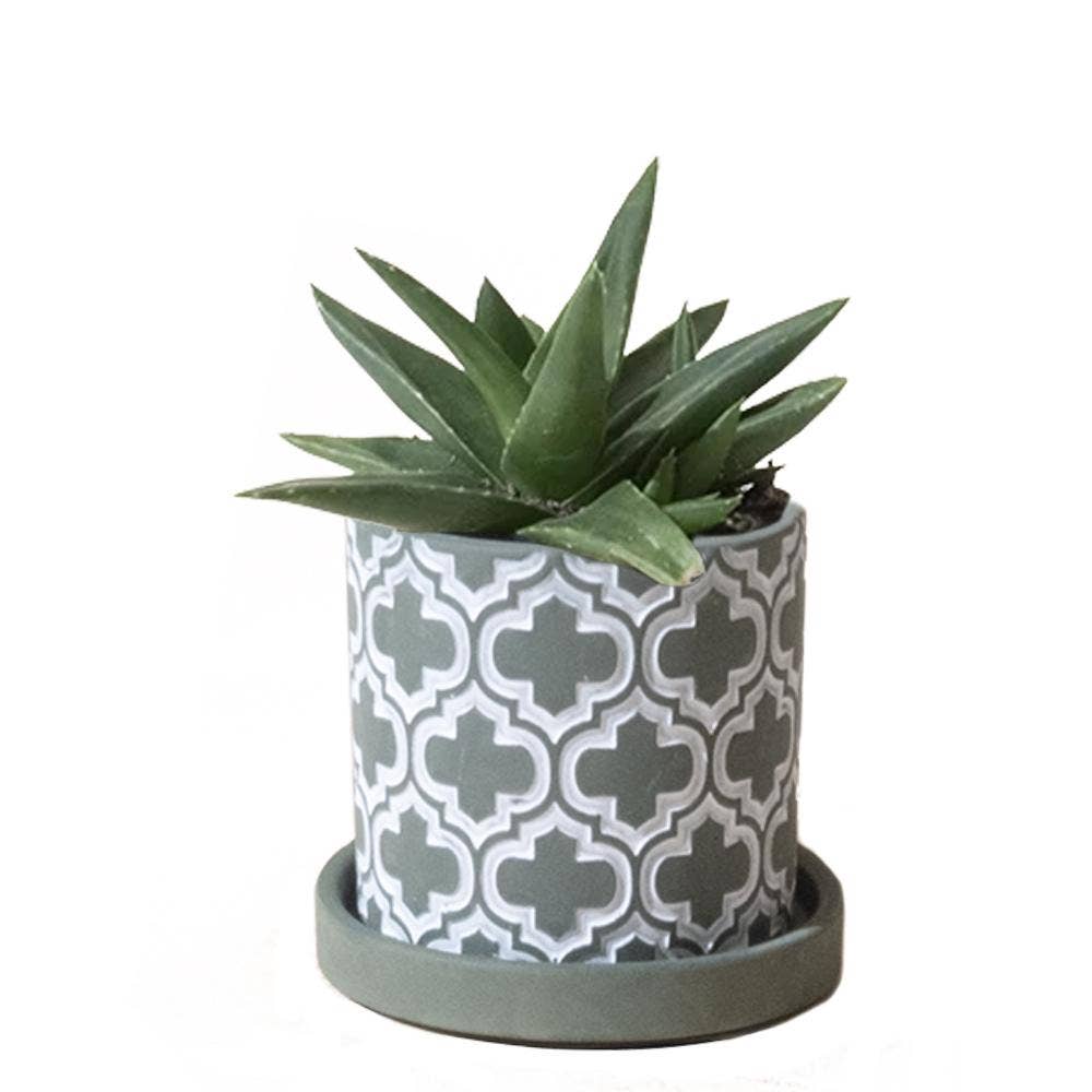 Chive UK - Wholesale Plant Pot - Balter Pot with Saucer for Houseplants, Cacti, Succulents8