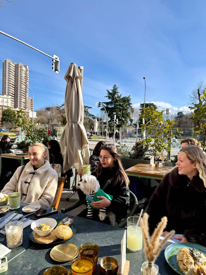 De Puffer – Blauw & Groen voor wholesale door PET FANGZ