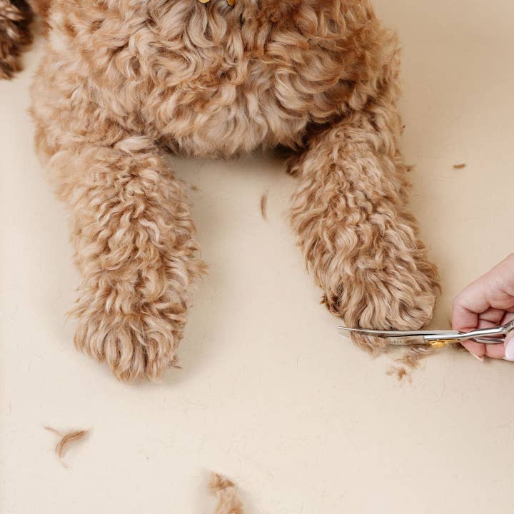 Pupwell - Wholesale Pet Grooming Set - Dog - Ultimate Dog Grooming Kit15