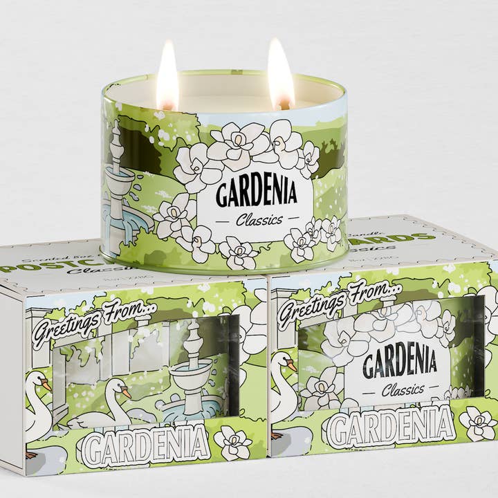 Gardenia (3pk) for wholesale by Postcards