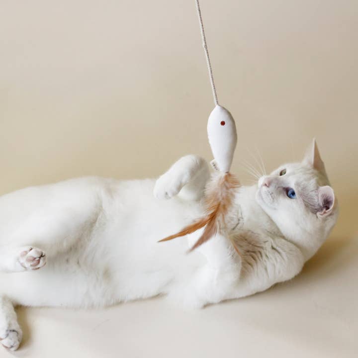 White Cat Toy Golden Fish for wholesale on Faire1