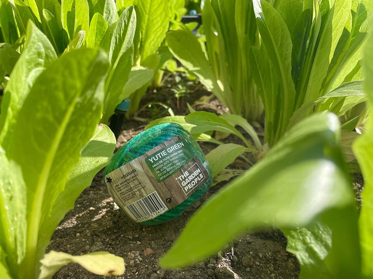 JARDIN Y NATURA OUTDOOR & GARDEN PRODUCTS SL - Wholesale Garden Tool - Green jute rope 50 meters - YUTIE GREEN1