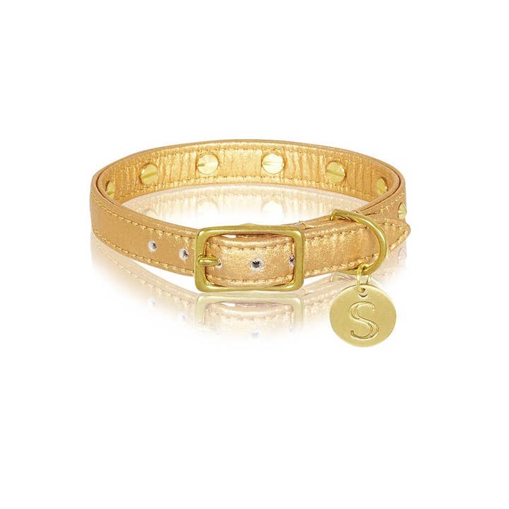 Sebastian Says - Wholesale Pet collar – Dog - Piñatex Spike Dog Collar - Gold1