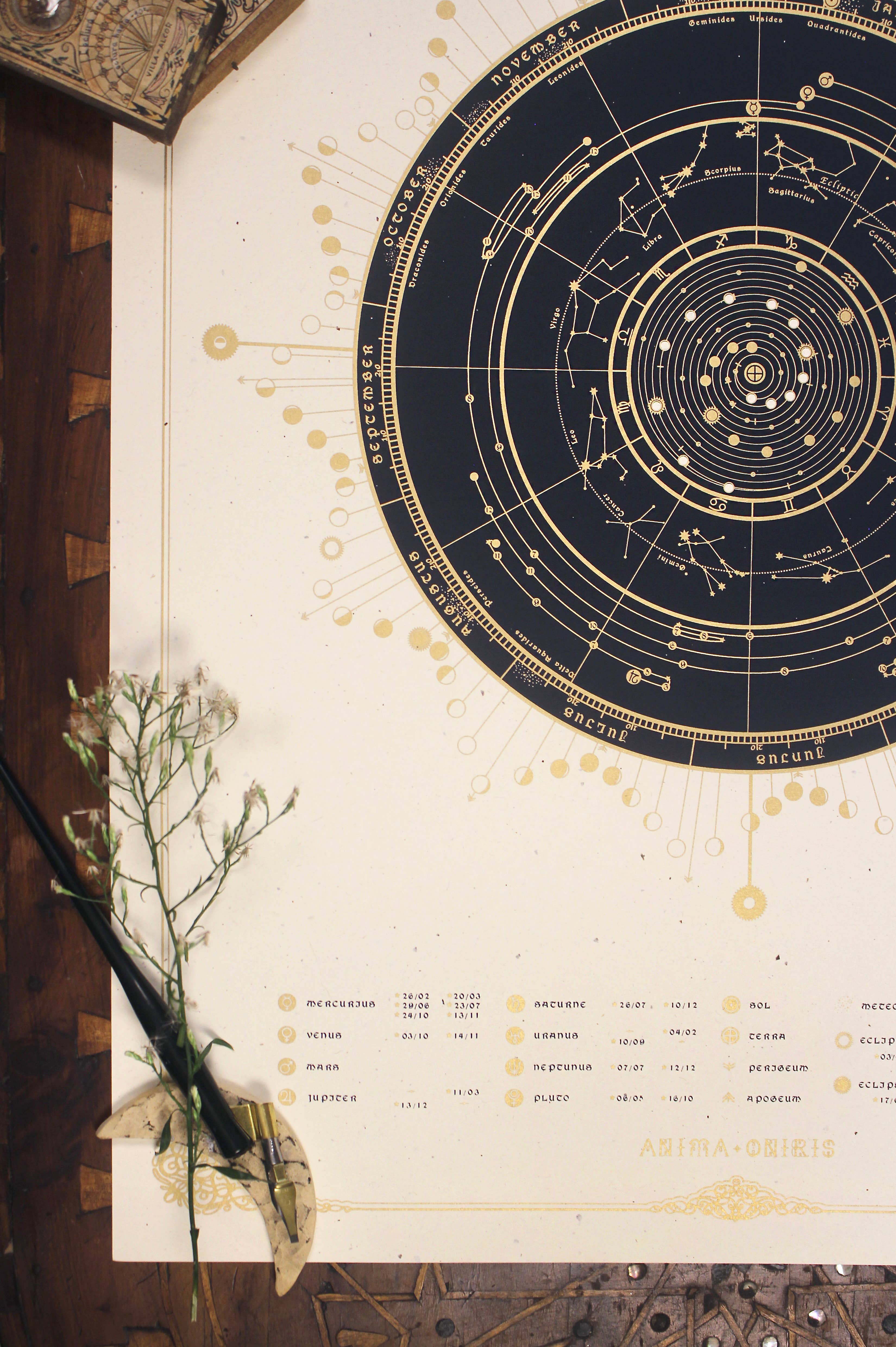 ANIMA ONIRIS - Wholesale Calendar - Astral Calendar 2026, Moon & Planet Astronomic Calendar (Cop3