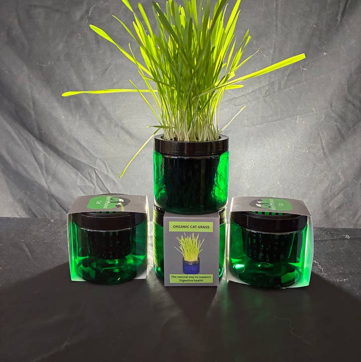 Mom’s Indoor Cat - Wholesale Pet Treats - Cat - Modern Organic Cat Grass Garden in Stylish Jar 1/2 case1