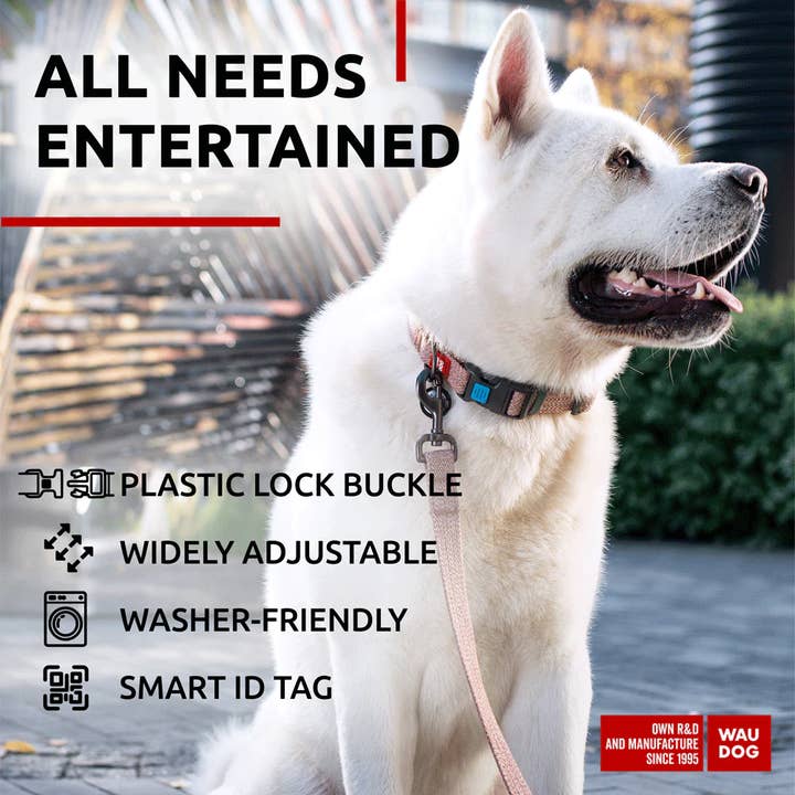 WAUDOG - Vente Collier – chien - Collier en coton avec fermoir en plastique14