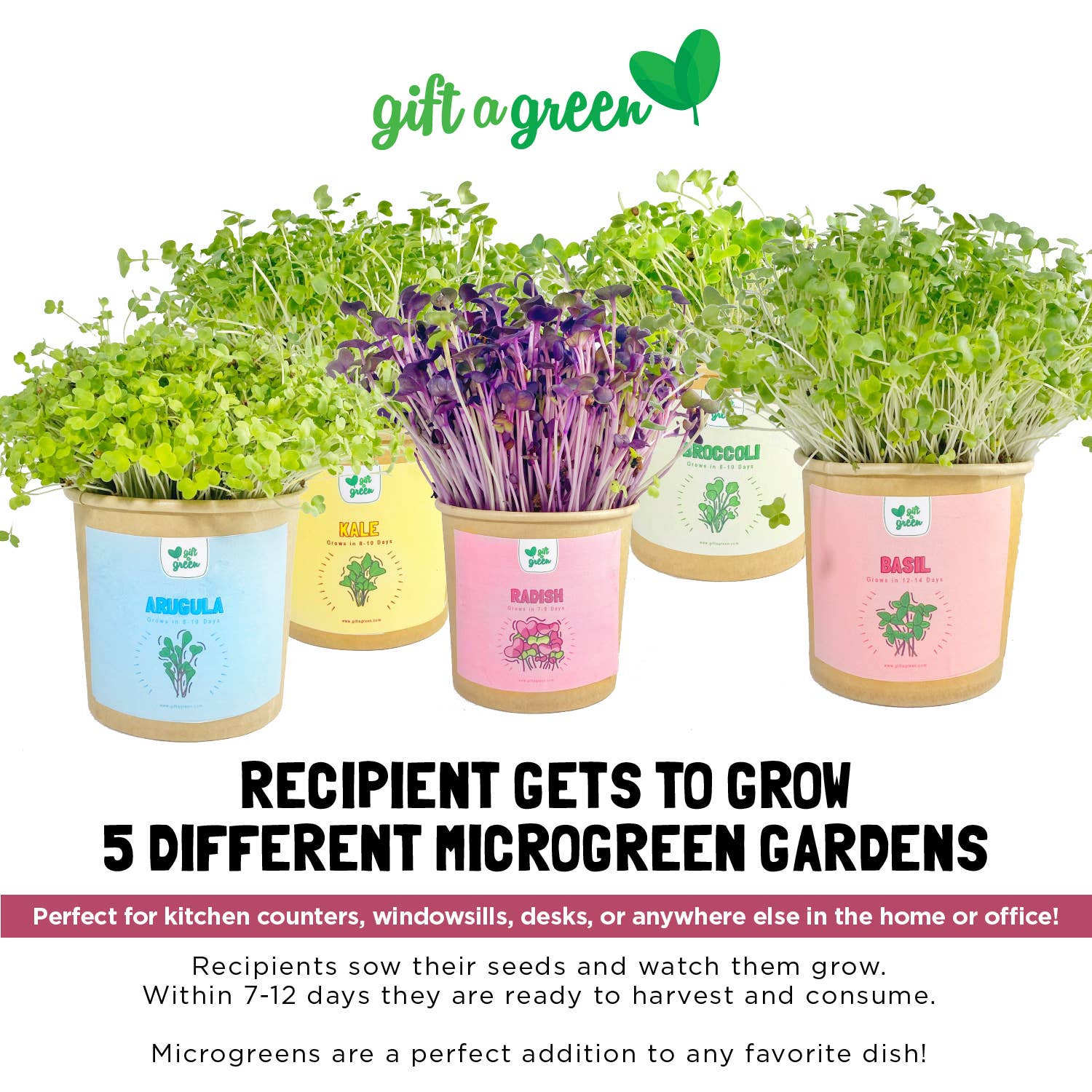 giftagreen - Wholesale Plant Seeds - Gift Box - All Occasion3