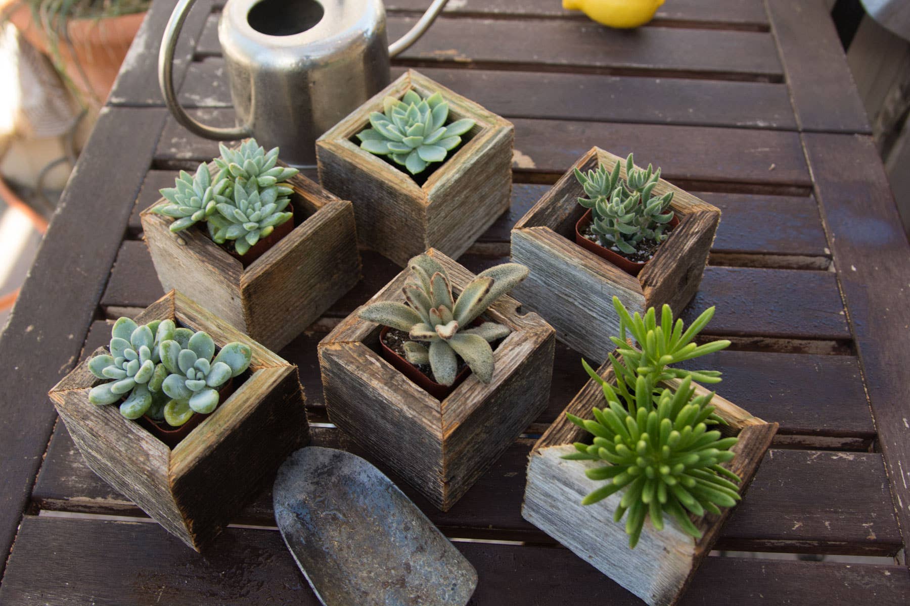 Love Reclaimed - Wholesale Planter Box - Reclaimed Wood Mini Square Planters / Favor Boxes