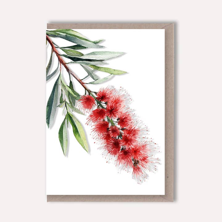 AUSTRALIAN FLORAL Blank greeting card - Single Stems card 04 Bottle Brush for wholesale by Scattered Seed Co