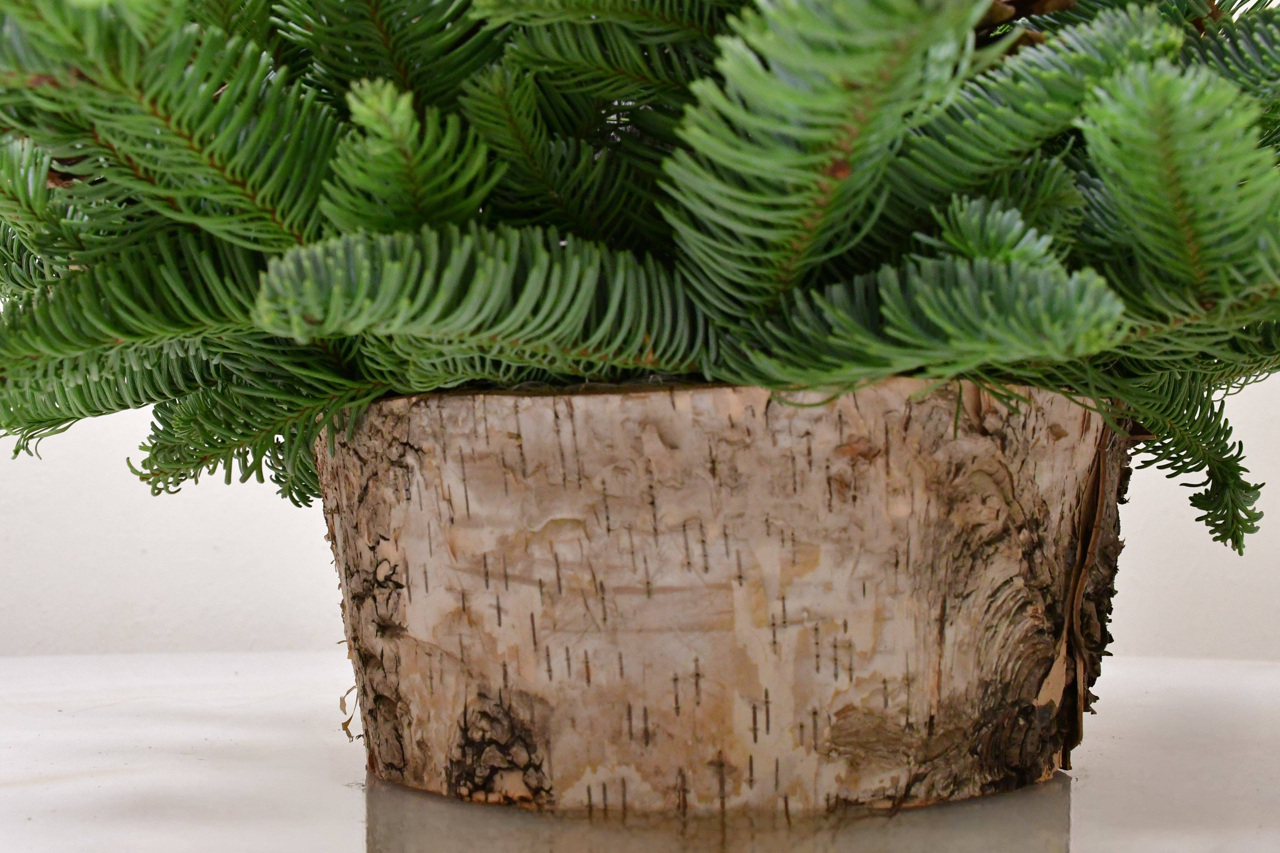 Champion Greens Forest farm - Wholesale Christmas Decoration - owl Birch holiday centerpiece1