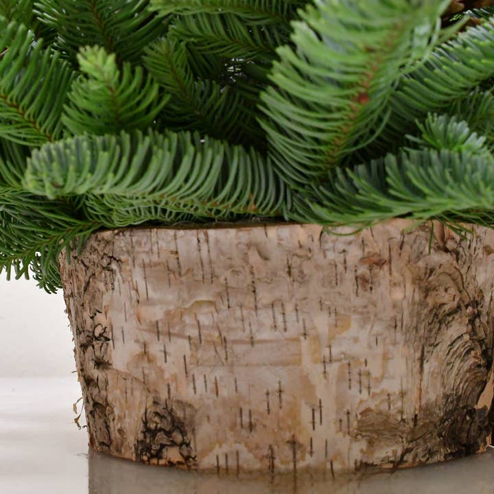 Champion Greens Forest farm - Wholesale Christmas Decoration - owl Birch holiday centerpiece1