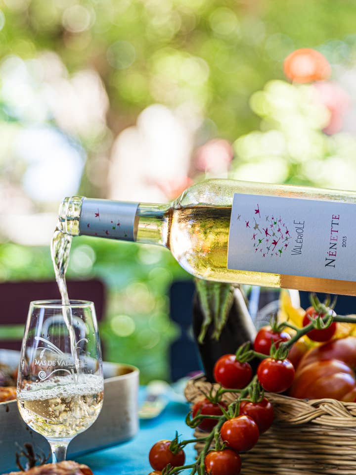 Nenette 2024 - IGP Terre de Camargue Rosato BIO per la vendita all'ingrosso da parte di Mas de Valeriole