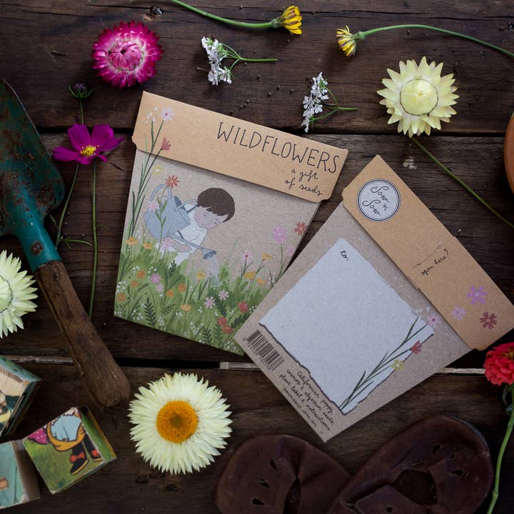 Sow 'n Sow - Wholesale Plant Seeds - Wildflowers Gift of Seeds (Australia Only)3