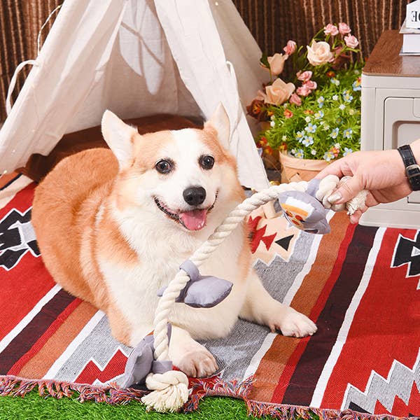 Hugsmart Products Inc - Wholesale Pet Rope Toy - Dog - HugSmart Pet - Raccoon Buddies  | Raccoon Rope - Rope Toy2