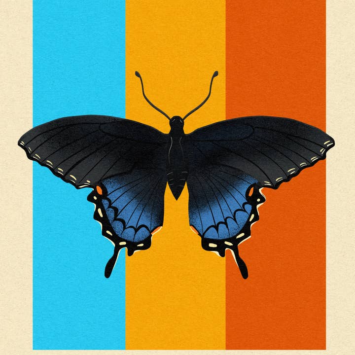 Tri-color Swallowtail Butterfly Giclée Print for wholesale by Neon Swan Studio LLC